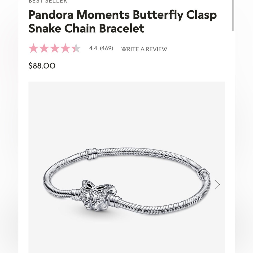 COPY - Brand New Pandora Bracelet & 3 Charms
